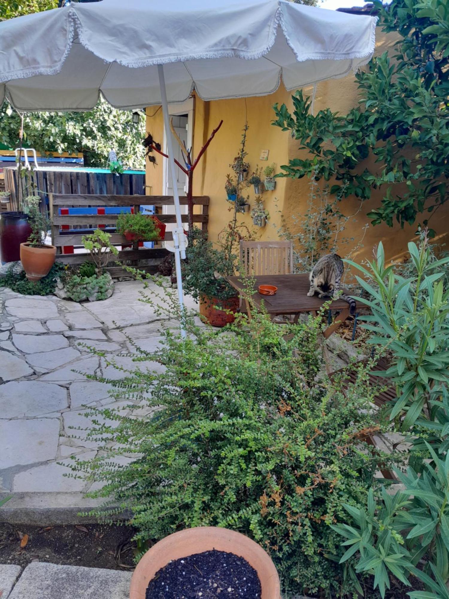 Refugio Das Artes Guesthouse Porto de Mós Buitenkant foto